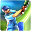 Игра -  Smash Cricket